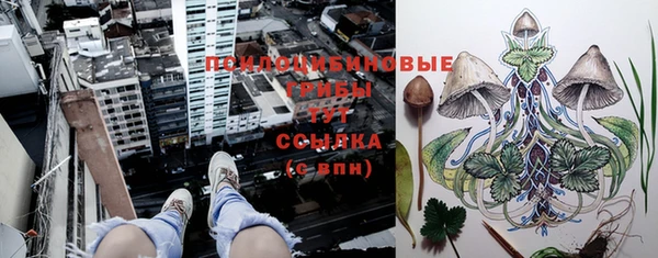 дмт Алексин