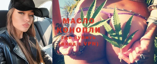 дмт Алексин