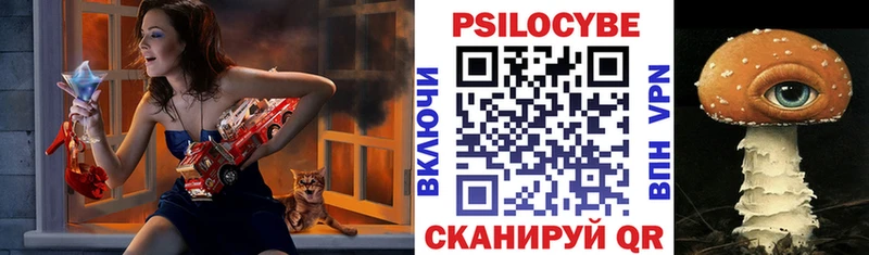 Псилоцибиновые грибы мицелий где найти кракен маркетплейс Рязань